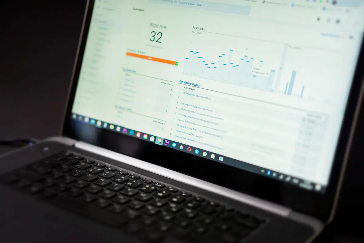 Laravel Web Application — SaaS Platform